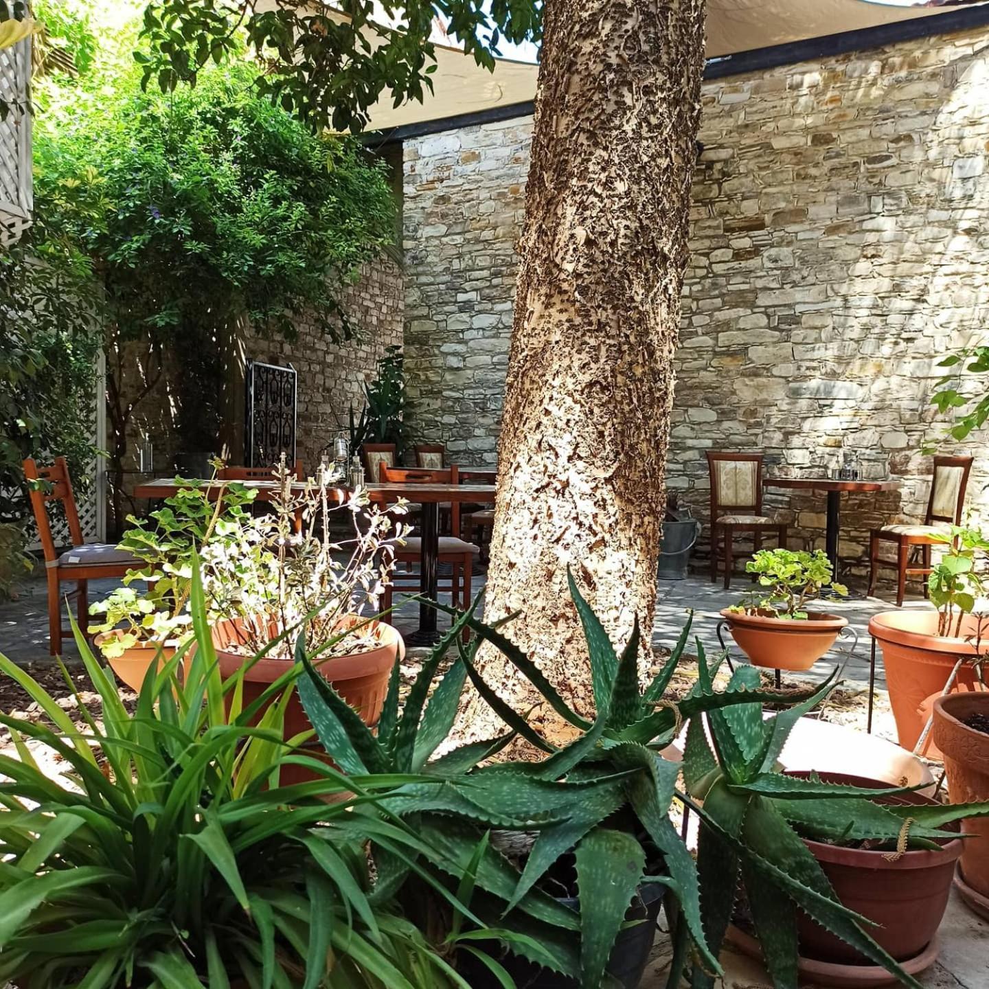 Lefkara Hotel Bagian luar foto